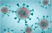 coronavirus2